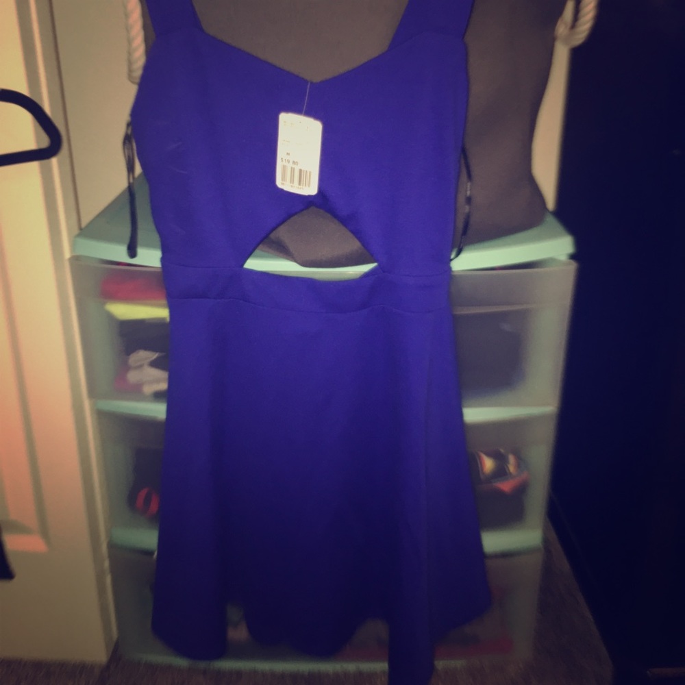 Forever 21 Brand New  Royal Blue Skater Dress